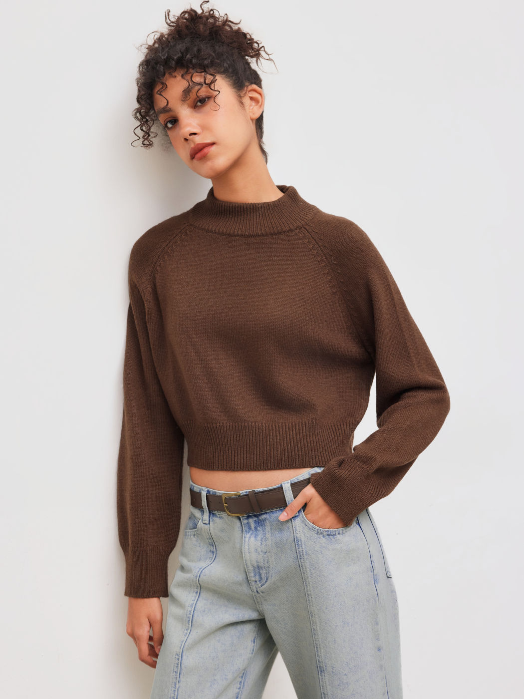 Knit Wool-blend High Neck Solid Long Sleeve Crop Sweater