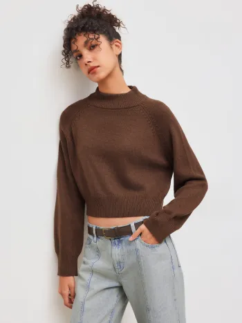 Strick Wollmischung Hoher Kragen Einfarbig Langarm Crop Pullover