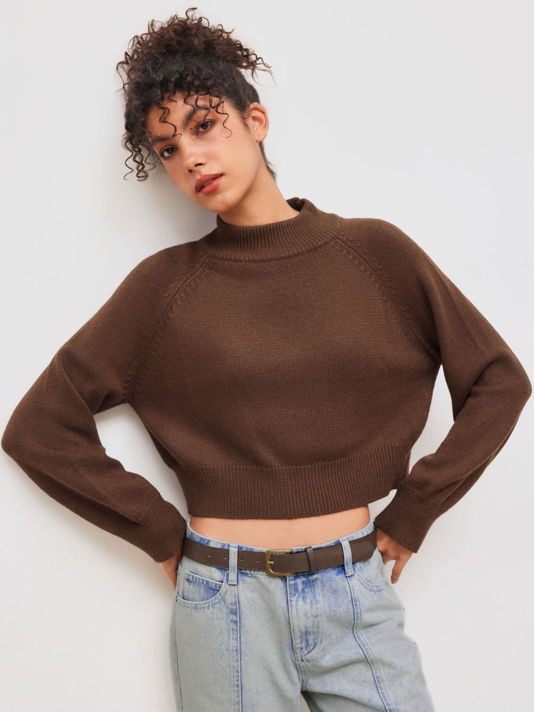 Knit Wool-blend High Neck Solid Long Sleeve Crop Sweater