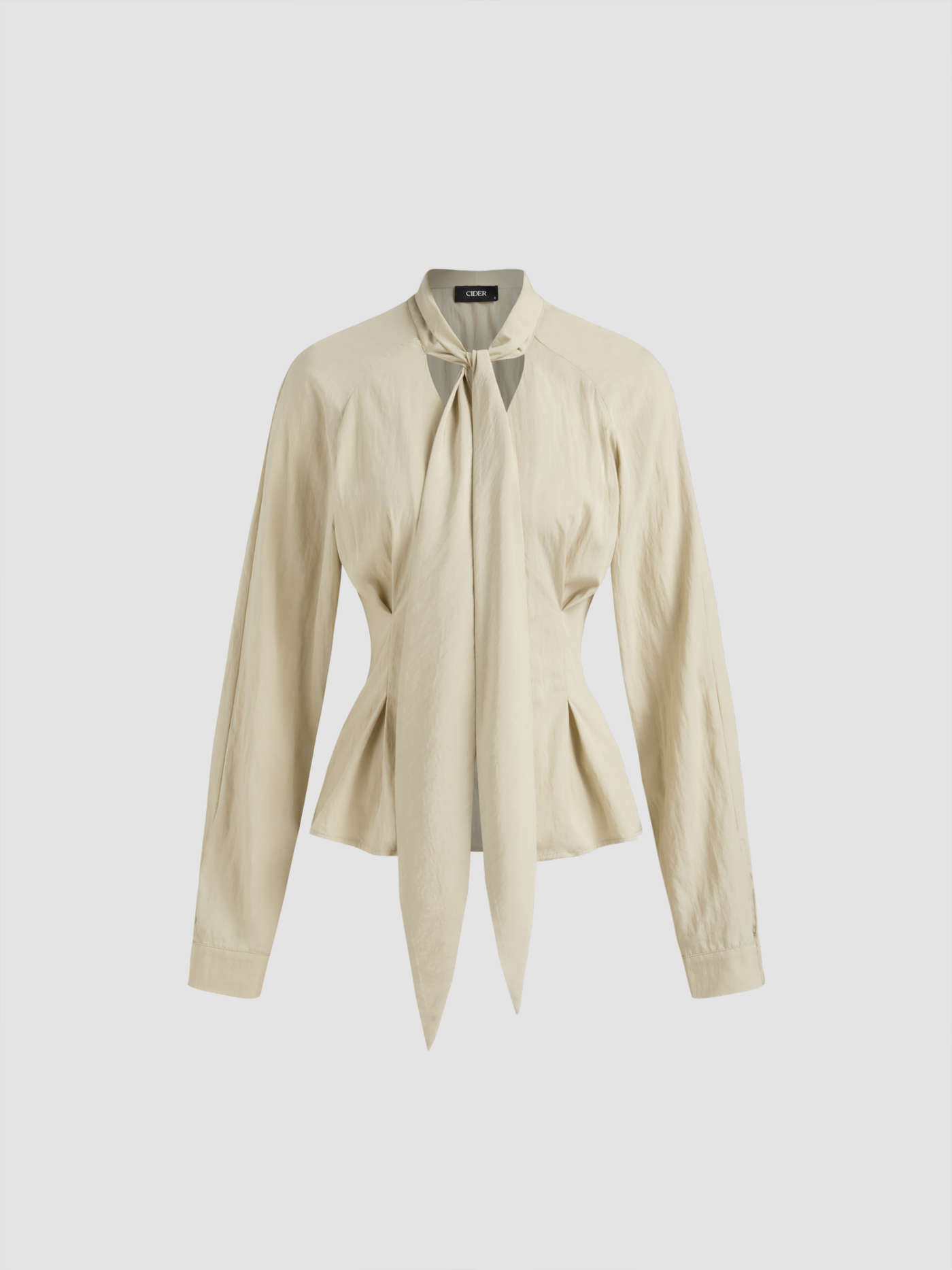 High Neck Cinched Waist Knotted Long Sleeve Blouse
