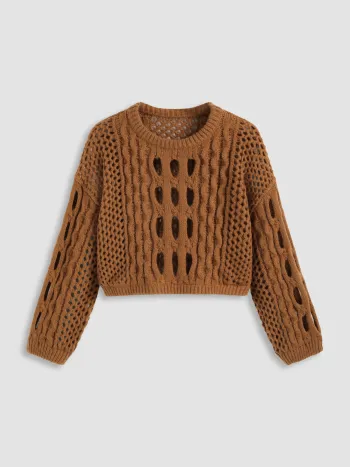 Knit Round Neckline Hollow Out Long Sleeve Crop Top Curve & Plus