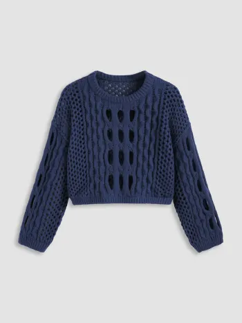 Knit Round Neckline Hollow Out Long Sleeve Crop Top Curve & Plus