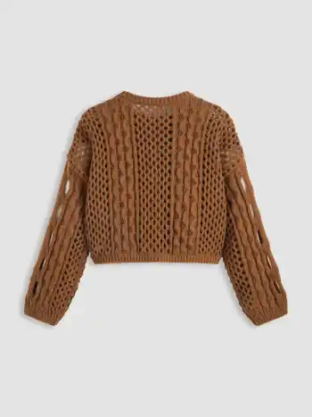 Knit Round Neckline Hollow Out Long Sleeve Crop Top Curve & Plus