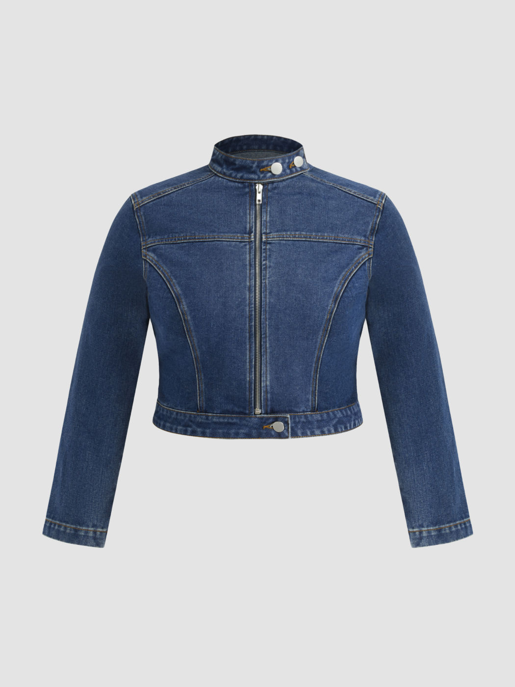 Moto Jacket Curve & Plus