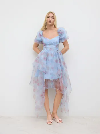 Hübsches floral gemustertes Maxikleid mit Schlauchband und Schichten aus Mesh