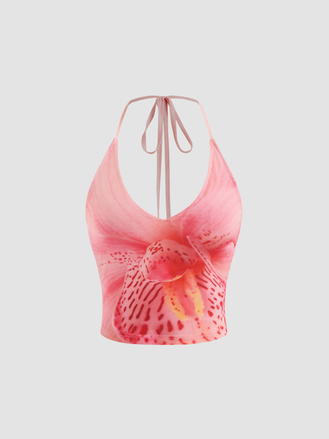 Mesh Halter Neckline Floral Knotted Crop Cami Top