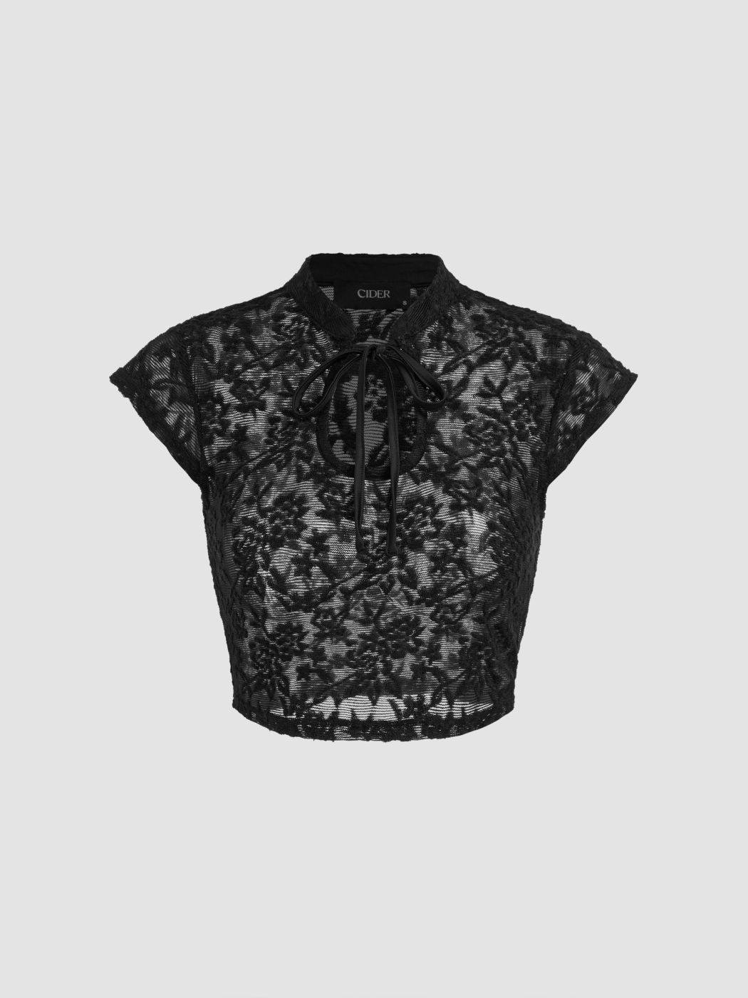 Lace Stand Collar See-through Crop Top