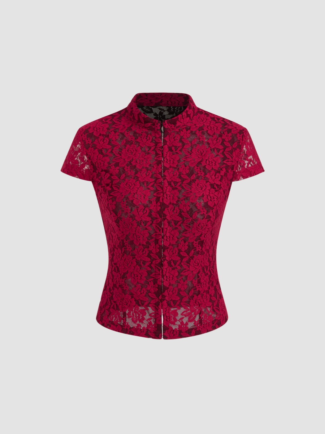 Stand Collar Lace Floral Hook And Eye Blouse