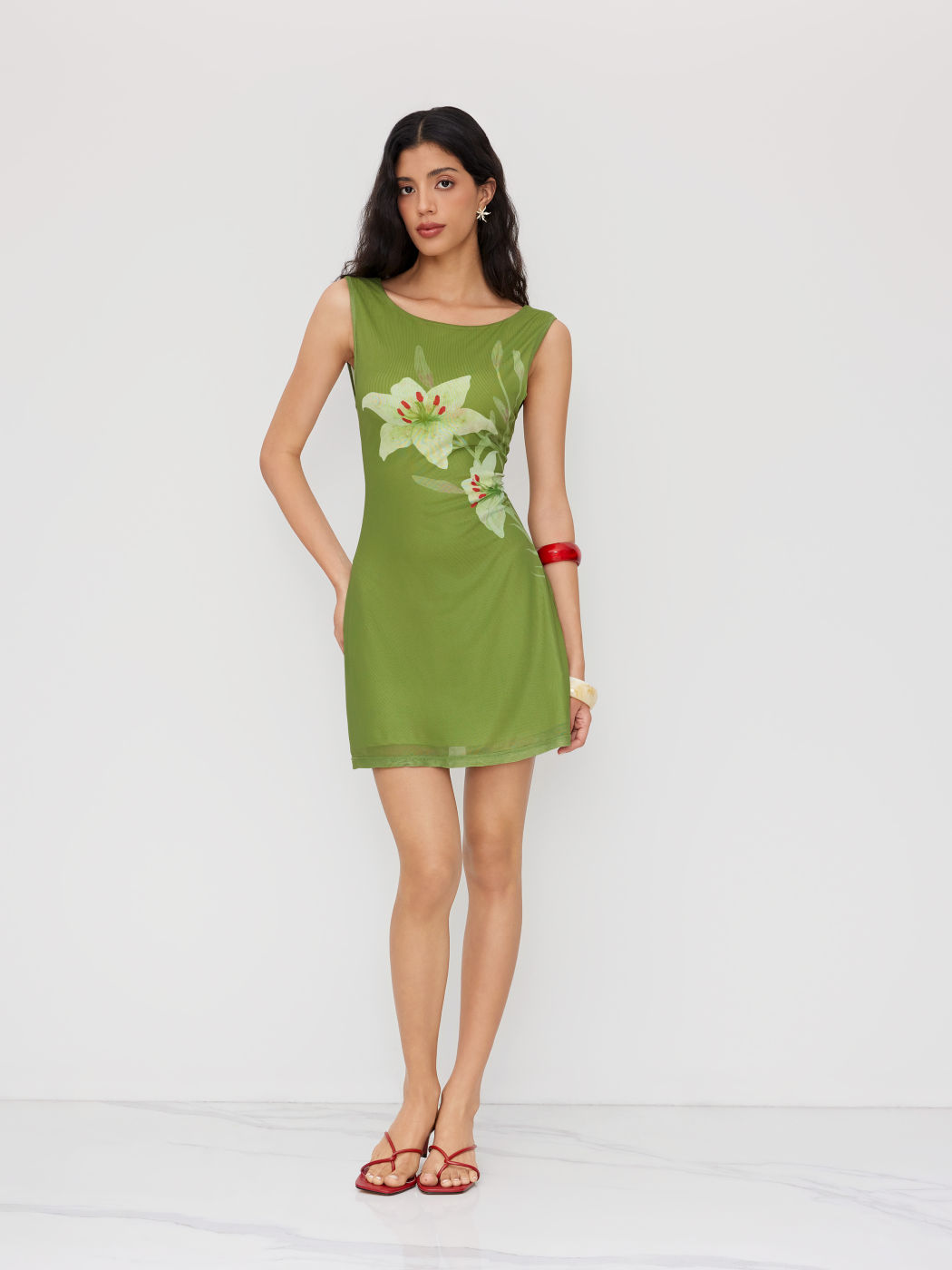 Mesh Round Neckline Floral Graphic Mini Dress
