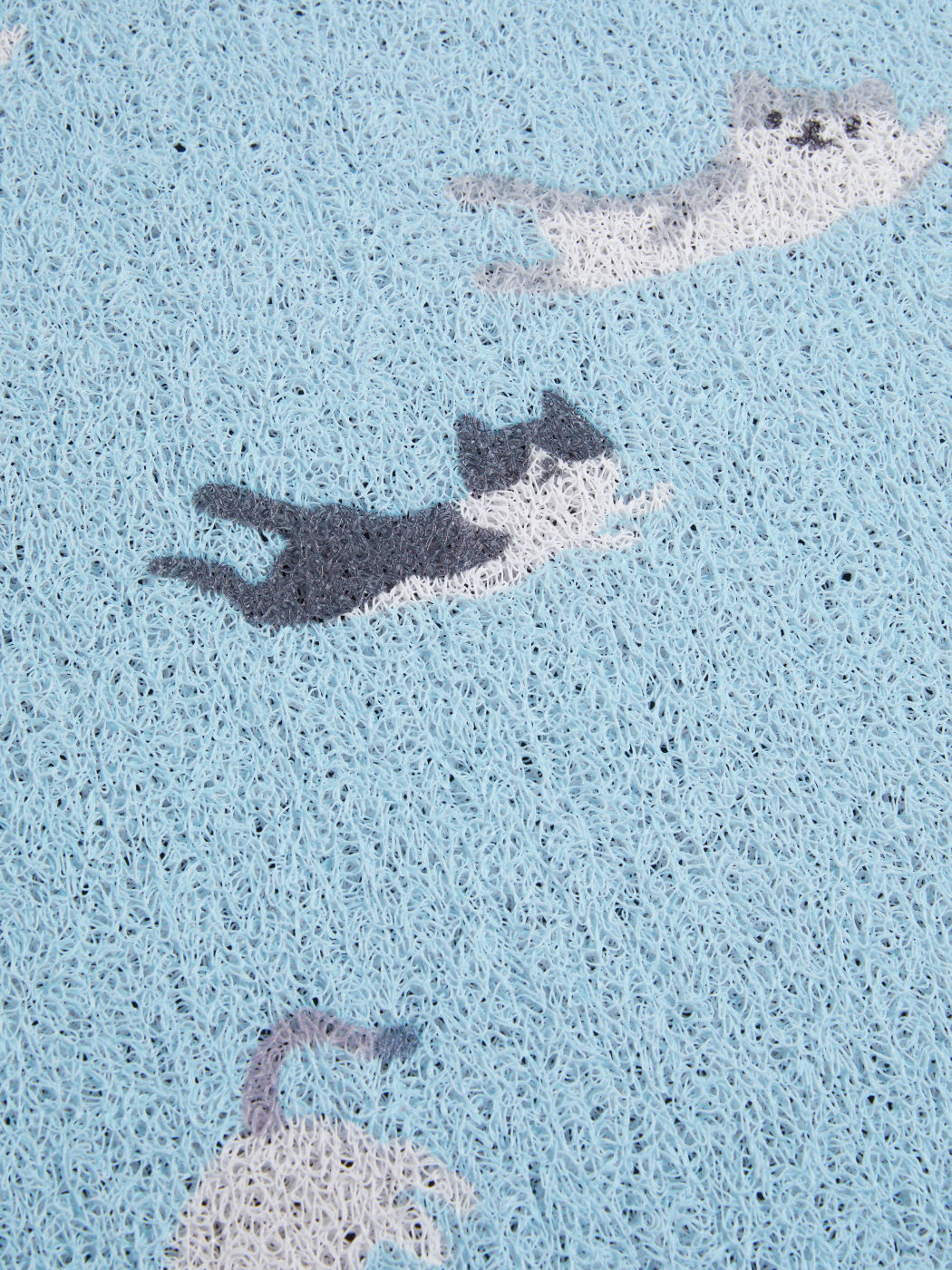 SWIM CAT DOORMAT