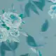 color display image