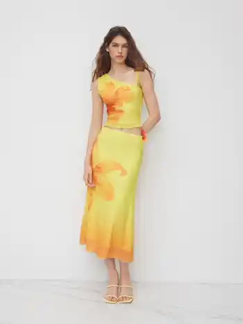 Mesh-Asymmetrischer Hals Floral Gebundener Oberteil & Mittelhohe Maxi-Skirt Set