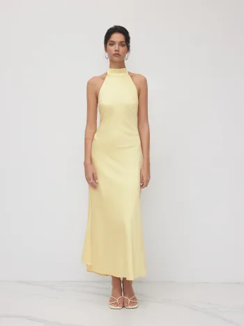 Satin Maxikleid mit Halterhals und Rückenausschnitt