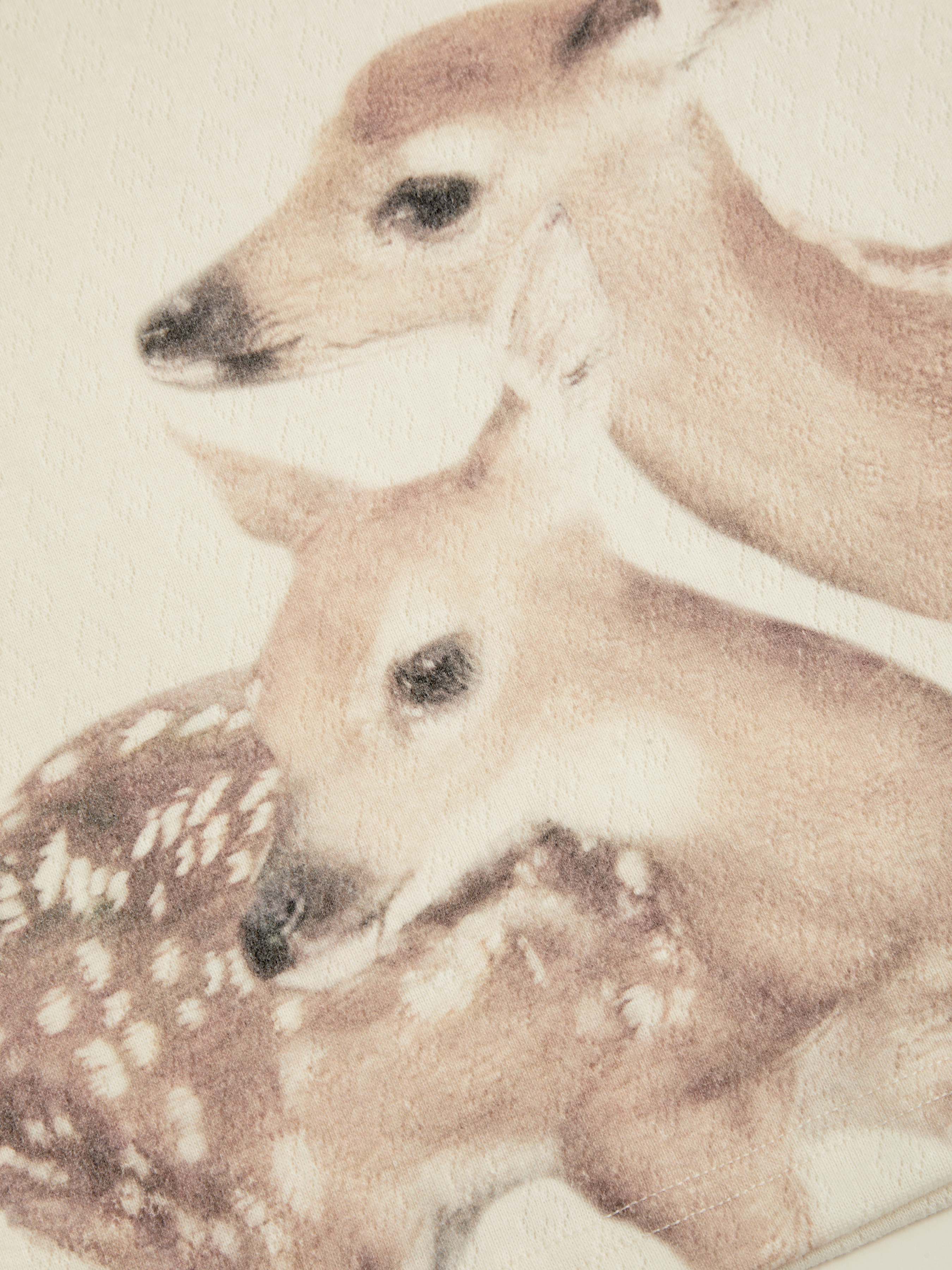 Deer Graphic Scoop Neckline Long Sleeve Lace Trim Bowknot Tee