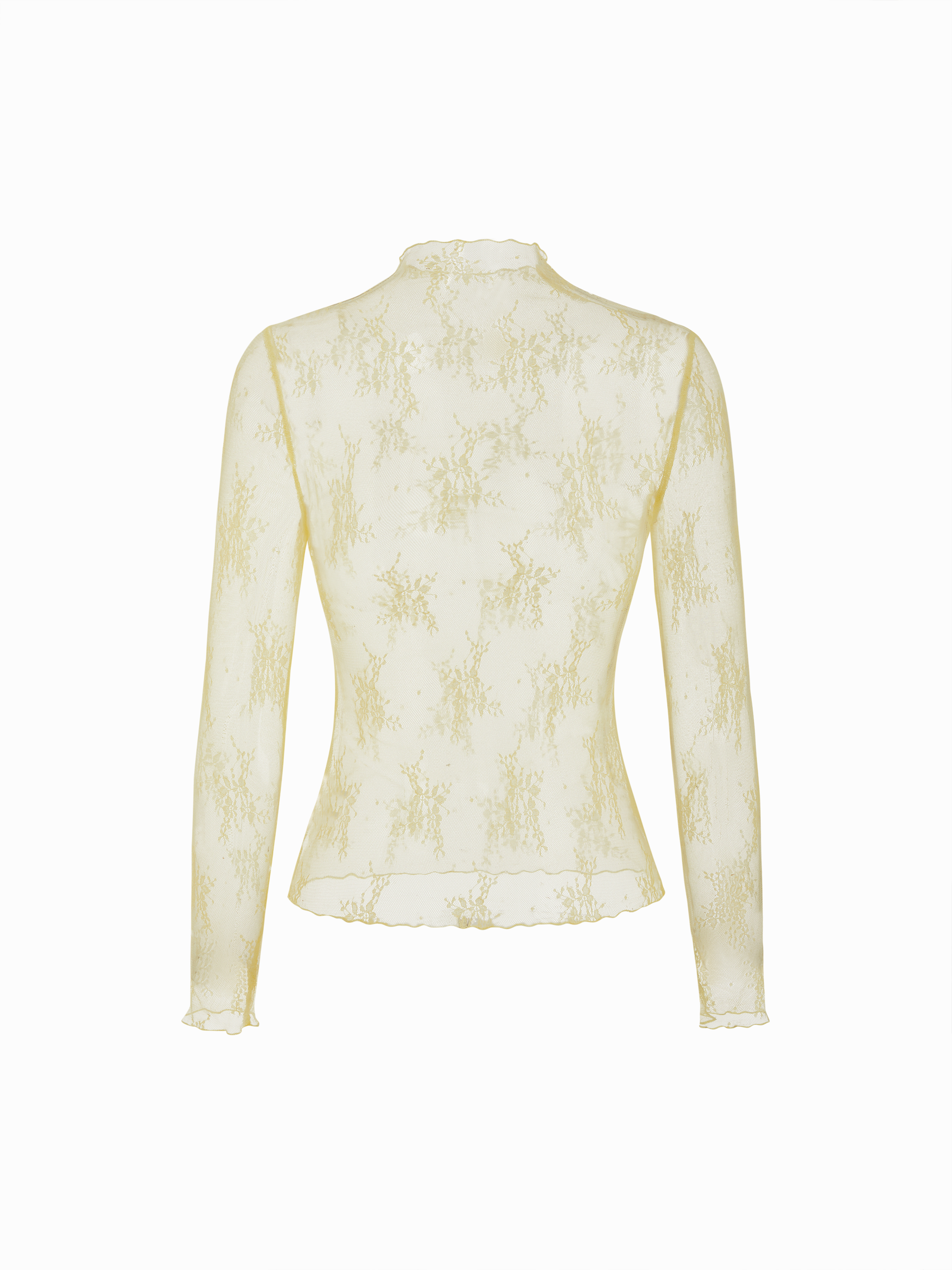 Valentine Lace Lace High Neck Lace Long Sleeve Top For Date Picnic 